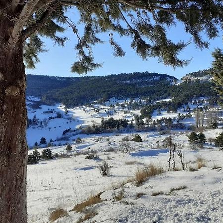 Apartamento Solano - Virgen De La Vega - Alcala Ideal Montana Y Relax Теруэль Экстерьер фото